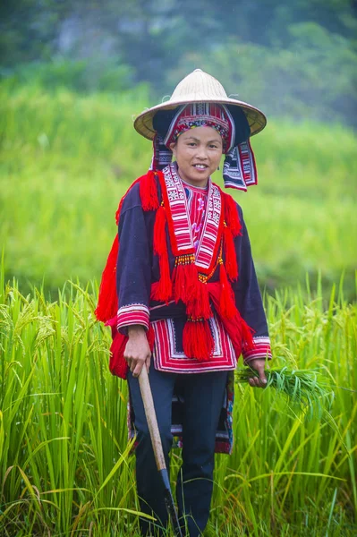 Giang Vietnam Sep Frau Der Roten Dao Minorität Einem Dorf — Stockfoto