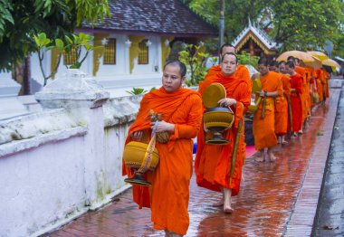 Luang Prabang, Laos - 11 Ağustos 2018: Luang Prabang Laos'ta üzerinde 11 Ağustos 2018 töreni Budist sadaka. Bu yaklaşık 1 içinde 3 erkek Laotians bir manastır katılmak tahmin edilmektedir