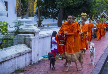 Luang Prabang, Laos - 11 Ağustos 2018: Luang Prabang Laos'ta üzerinde 11 Ağustos 2018 töreni Budist sadaka. Bu yaklaşık 1 içinde 3 erkek Laotians bir manastır katılmak tahmin edilmektedir