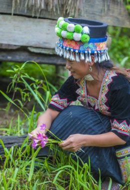 Bam Na Ouan, Laos - Ağustos 13: Bam Na Ouan köyü Laos üzerinde 13 Ağustos 2018 Hmong azınlıkta kızdan. Hmong azınlık Laos 49 etnik gruplarından biridir 