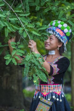 Bam Na Ouan, Laos - Ağustos 13: Bam Na Ouan köyü Laos üzerinde 13 Ağustos 2018 Hmong azınlıkta kızdan. Hmong azınlık Laos 49 etnik gruplarından biridir 