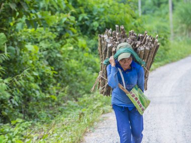 Luang Prabang, Laos - Ağustos 14: Laos çiftçi Luang Prabang Laos üzerinde 14 Ağustos 2018 yakınındaki countrside. Laos hayatımızda köylerde nüfusun neredeyse yüzde 70'i 