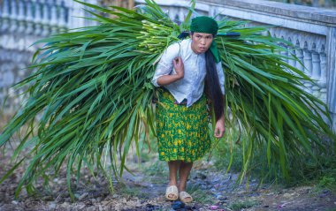 Ha Giang, Vietnam - 15 Eylül: Vietnam çiftçi Ha Giang Vietnam üzerinde 15 Eylül 2018 yakınındaki bir countrside. kırsal köylerde yaşayan Vietnam nüfusunun neredeyse yüzde 80'i