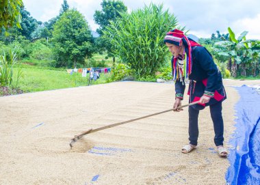 Ha Giang, Vietnam - Ekim 14: Kırmızı Dao azınlık Ha Giang Vietnam üzerinde 14 Eylül 2018 yakınlarındaki bir kasabada'kadın. Kırmızı Dao Vietnam 54 etnik gruplarından biridir