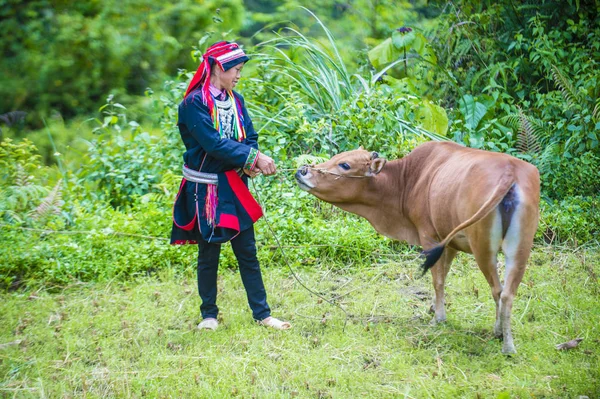 Giang Vietnam Sep Woman Red Dao Minority Village Giang Vietnam — Stock Photo, Image