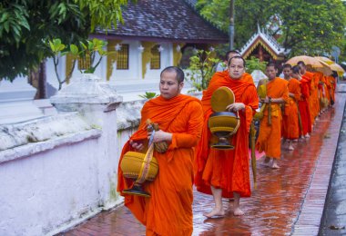 Luang Prabang, Laos - 11 Ağustos 2018: Luang Prabang Laos'ta üzerinde 11 Ağustos 2018 töreni Budist sadaka. Bu yaklaşık 1 içinde 3 erkek Laotians bir manastır katılmak tahmin edilmektedir
