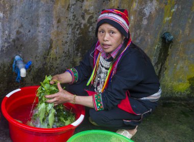 Ha Giang, Vietnam - Ekim 14: Kırmızı Dao azınlık Ha Giang Vietnam üzerinde 14 Eylül 2018 yakınlarındaki bir kasabada'kadın. Kırmızı Dao Vietnam 54 etnik gruplarından biridir