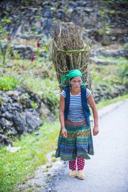 Ha Giang, Vietnam - 15 Eylül: Vietnam çiftçi Ha Giang Vietnam üzerinde 15 Eylül 2018 yakınındaki bir countrside. kırsal köylerde yaşayan Vietnam nüfusunun neredeyse yüzde 80'i