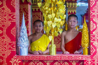 Luang Prabang, Laos - 12 Ağustos 2018: Acemi rahipler Luang Prabang Laos üzerinde 12 Ağustos 2018. Bu yaklaşık 1 içinde 3 erkek Laotians bir manastır en azından bir süre için katılmak tahmin edilmektedir