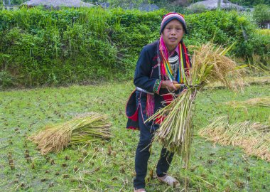Ha Giang, Vietnam - Ekim 14: Kırmızı Dao azınlık Ha Giang Vietnam üzerinde 14 Eylül 2018 yakınlarındaki bir kasabada'kadın. Kırmızı Dao Vietnam 54 etnik gruplarından biridir