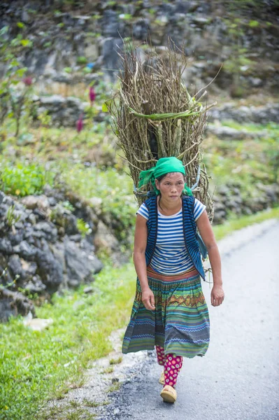 Giang Vietnam Sep Agricultor Vietnamita País Cerca Giang Vietnam Septiembre — Foto de Stock