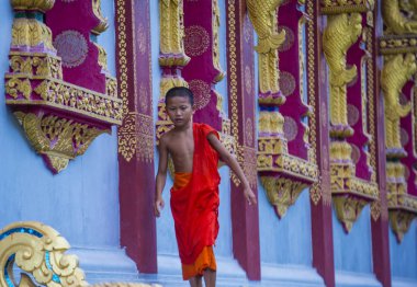 Luang Prabang, Laos - 12 Ağustos 2018: Acemi keşiş Luang Prabang Laos üzerinde 12 Ağustos 2018. Bu yaklaşık 1 içinde 3 erkek Laotians bir manastır en azından bir süre için katılmak tahmin edilmektedir
