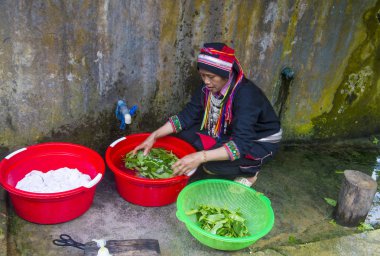 Ha Giang, Vietnam - Ekim 14: Kırmızı Dao azınlık Ha Giang Vietnam üzerinde 14 Eylül 2018 yakınlarındaki bir kasabada'kadın. Kırmızı Dao Vietnam 54 etnik gruplarından biridir