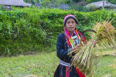 Ha Giang, Vietnam - Ekim 14: Kırmızı Dao azınlık Ha Giang Vietnam üzerinde 14 Eylül 2018 yakınlarındaki bir kasabada'kadın. Kırmızı Dao Vietnam 54 etnik gruplarından biridir
