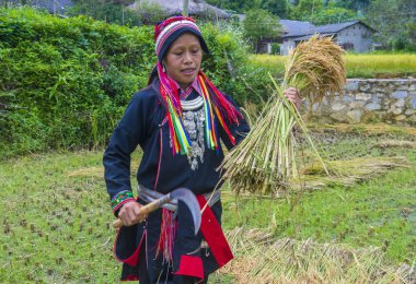 Ha Giang, Vietnam - Ekim 14: Kırmızı Dao azınlık Ha Giang Vietnam üzerinde 14 Eylül 2018 yakınlarındaki bir kasabada'kadın. Kırmızı Dao Vietnam 54 etnik gruplarından biridir