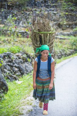 Ha Giang, Vietnam - 15 Eylül: Vietnam çiftçi Ha Giang Vietnam üzerinde 15 Eylül 2018 yakınındaki bir countrside. kırsal köylerde yaşayan Vietnam nüfusunun neredeyse yüzde 80'i