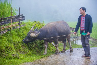 Ha Giang, Vietnam - Ekim 14: Kırmızı Dao azınlık Ha Giang Vietnam üzerinde 14 Eylül 2018 yakınlarındaki bir kasabada adamdan. Kırmızı Dao Vietnam 54 etnik gruplarından biridir
