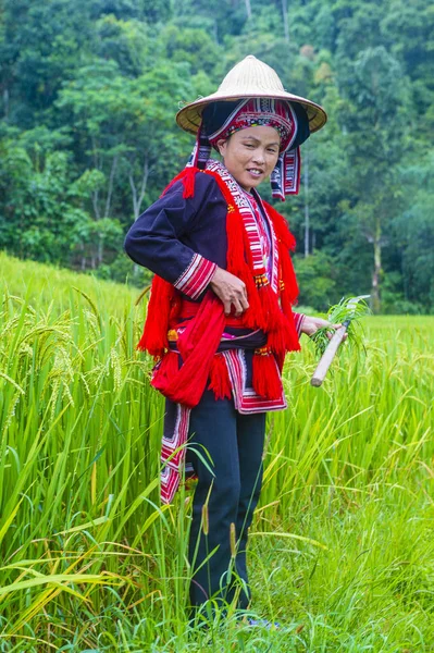 Giang Vietnam Sep Frau Der Roten Dao Minorität Einem Dorf — Stockfoto