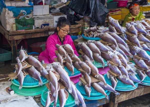 Busan Jagalchi Mercado de peixe — Fotografia de Stock