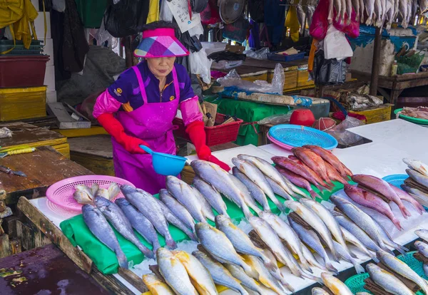 Busan Jagalchi fiskmarknad — Stockfoto