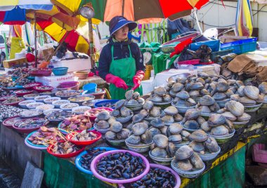 Busan Jagalchi Balık Pazarı