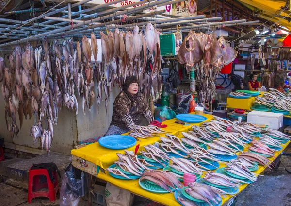 Busan Jagalchi Mercado de peixe — Fotografia de Stock