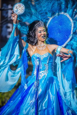 Tokyo Asakusa samba karnavalı