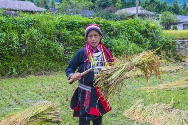 Vietnam'da Kırmızı Dao etnik azınlık