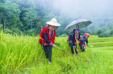 Vietnam'da Kırmızı Dao etnik azınlık