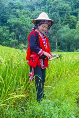 Vietnam'da Kırmızı Dao etnik azınlık