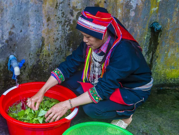 Minoranza etnica Red Dao in Vietnam — Foto Stock