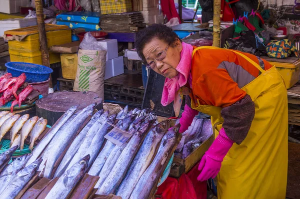 Busan Jagalchi Mercado de peixe — Fotografia de Stock