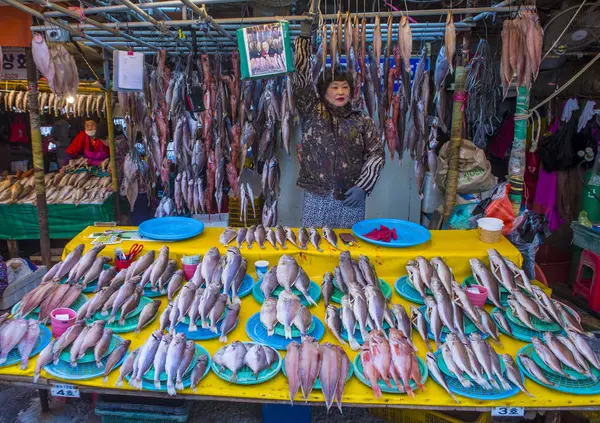 Busan Jagalchi Mercado de peixe — Fotografia de Stock