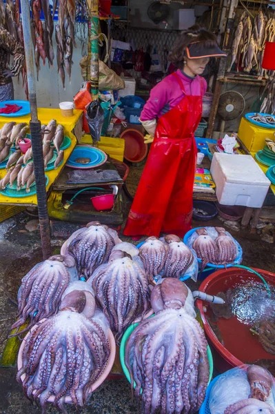 Mercado de pescado Busan Jagalchi —  Fotos de Stock