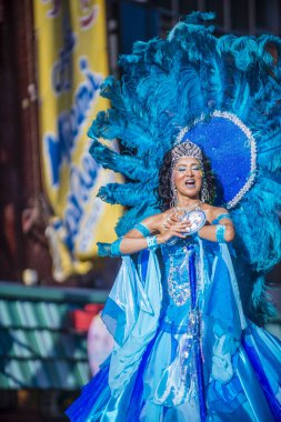 Tokyo Asakusa samba karnavalı