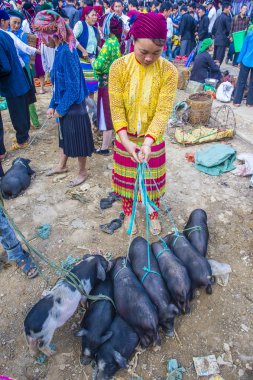 Dong Van Vietnam'da hafta sonu pazarı