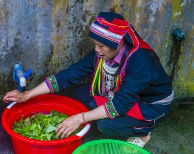 Vietnam'da Kırmızı Dao etnik azınlık