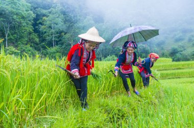 Vietnam'da Kırmızı Dao etnik azınlık