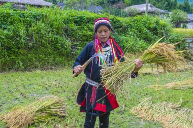 Vietnam'da Kırmızı Dao etnik azınlık