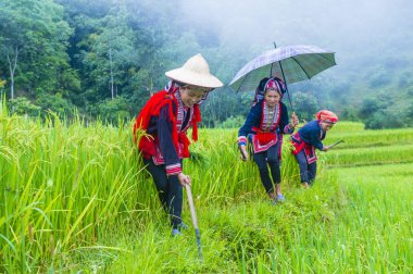 Vietnam'da Kırmızı Dao etnik azınlık