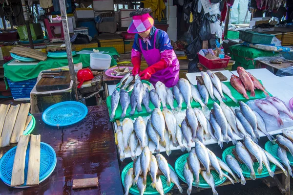 Busan Jagalchi vismarkt — Stockfoto