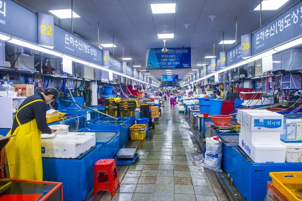 Rybí trh Busan Jagalchi — Stock fotografie
