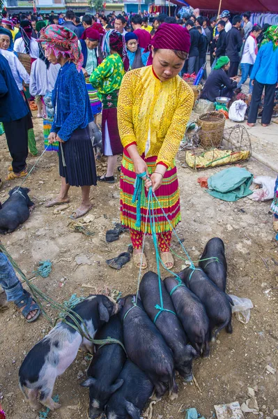 Targ weekendowy w Dong van Vietnam — Zdjęcie stockowe