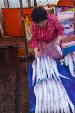 Busan Jagalchi Balık Pazarı