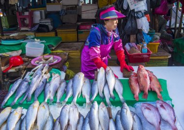 Busan Jagalchi Balık Pazarı