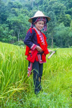 Vietnam'da Kırmızı Dao etnik azınlık