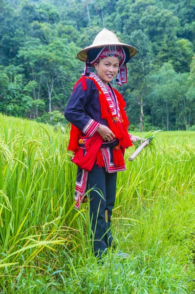 Червона меншина у В'єтнамі — стокове фото