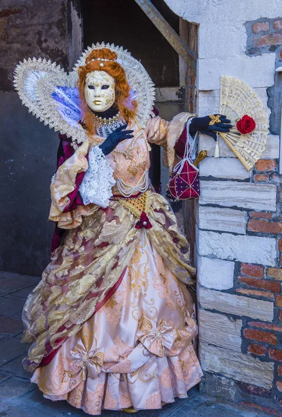 Carnevale di Venezia 2019 — Foto Stock