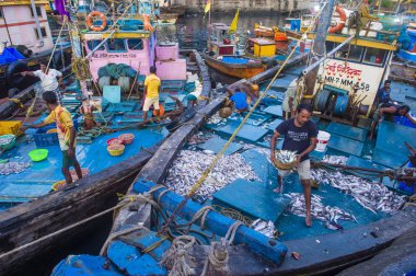 Sassoon Rıhtımı Mumbai Hindistan