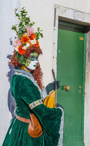 Carnaval de Venise 2019 — Photo